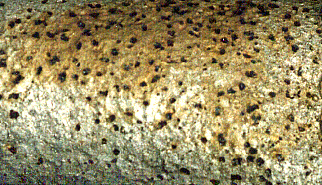 Metal_Random3_113.jpg