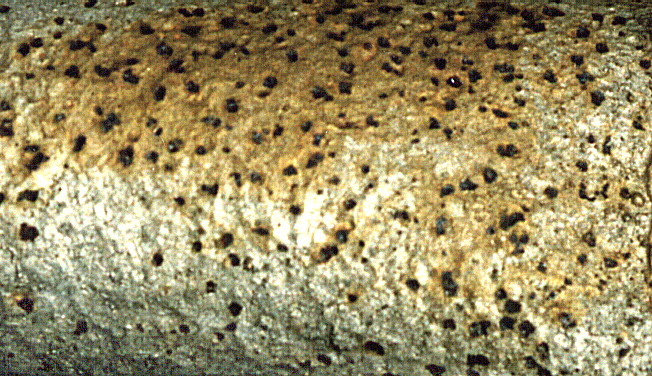 Metal_Random3_114.jpg