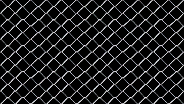 Fence.jpg