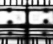 Tail Fin Displacement2.jpg