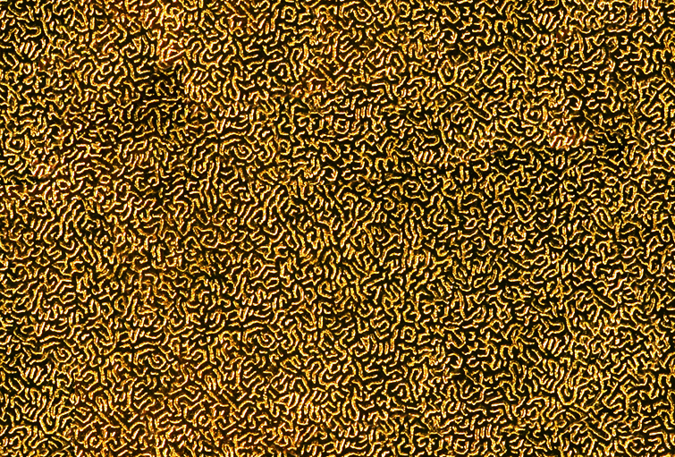goldfoil.jpg