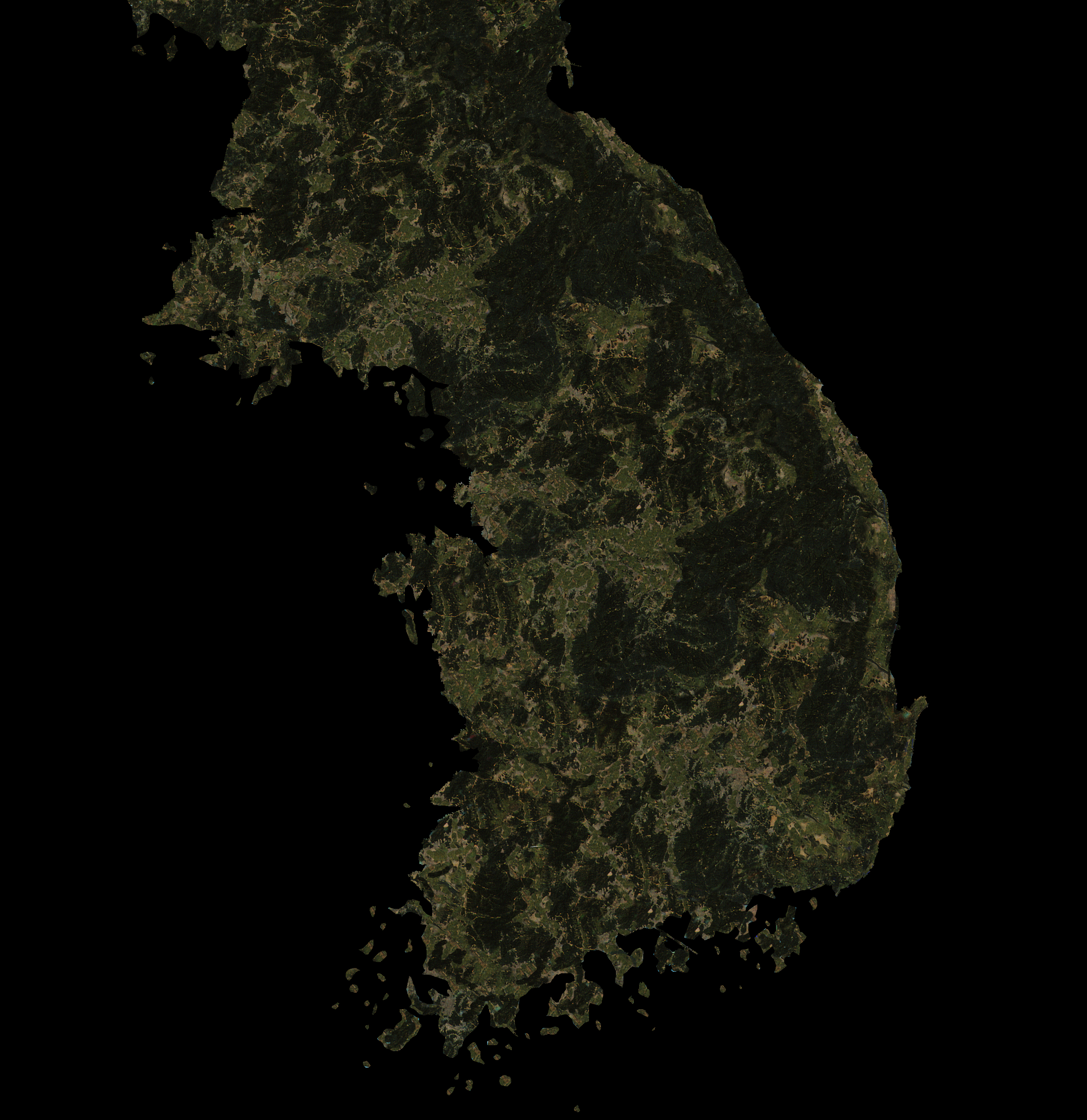 Jido-kor.jpg