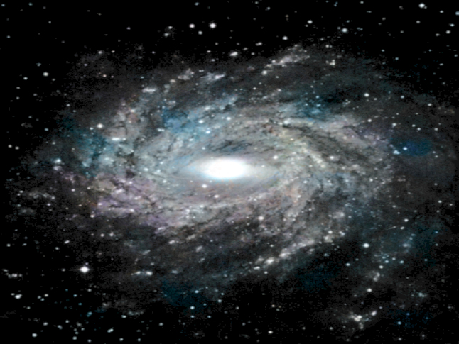 cosmos12.jpg