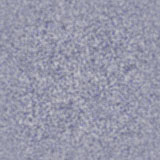 Marble1_053.jpg