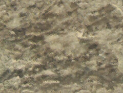 Marble1_059.jpg