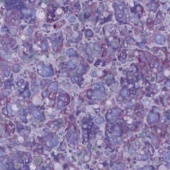 Marble1_074.jpg