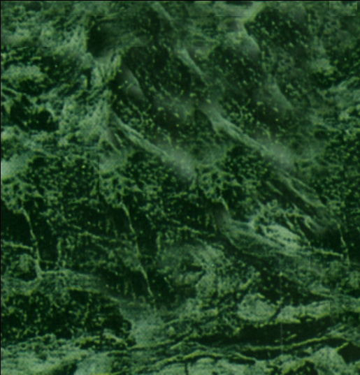 Marble1_143.jpg