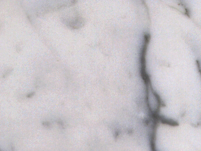 Marble2_048.jpg
