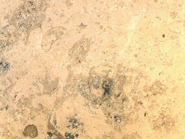Marble2_060.jpg