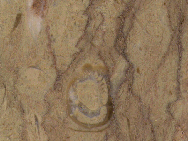Marble2_077.jpg