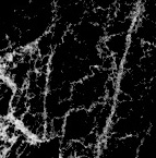 Marble3_010.jpg