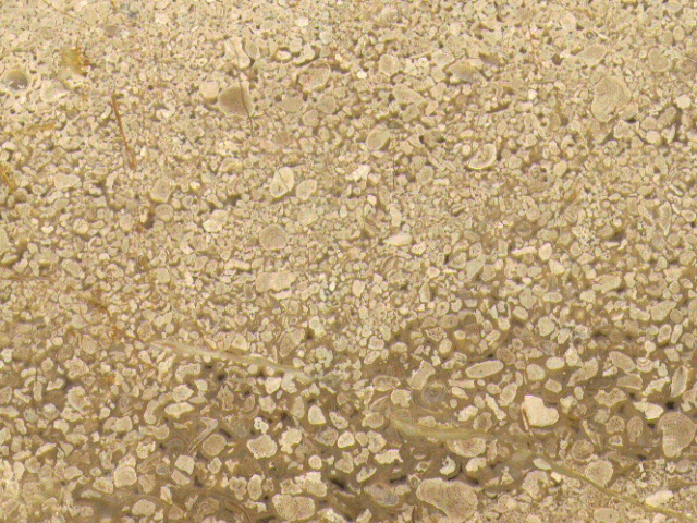 Marble4_116.jpg
