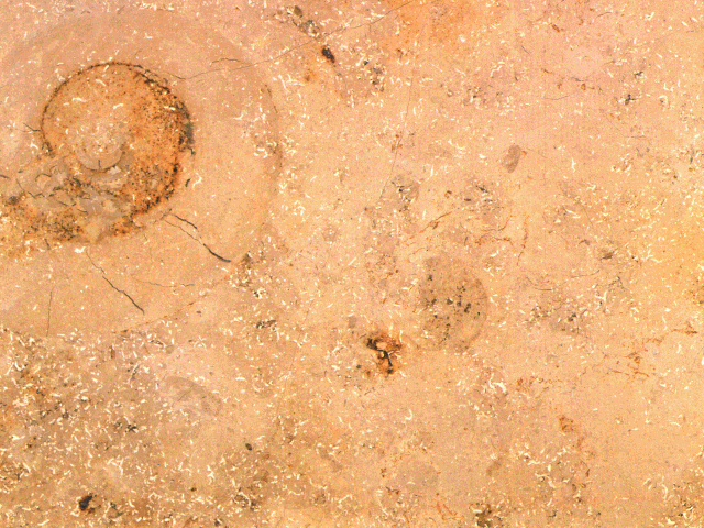 Marble4_129.jpg