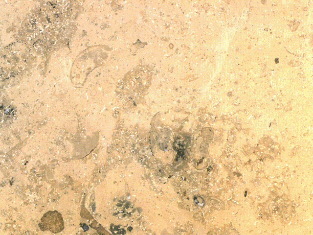Marble4_130.jpg