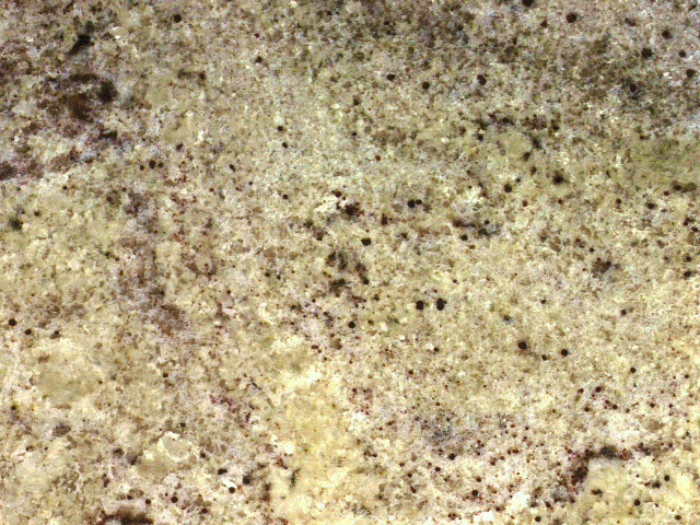 Marble4_132.jpg