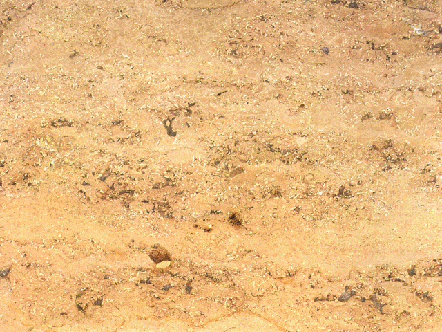Marble4_135.jpg