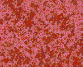 Marble5_006.jpg