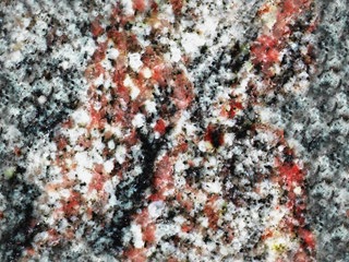 Marble5_042.jpg