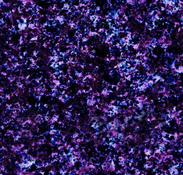 Marble5_084.jpg