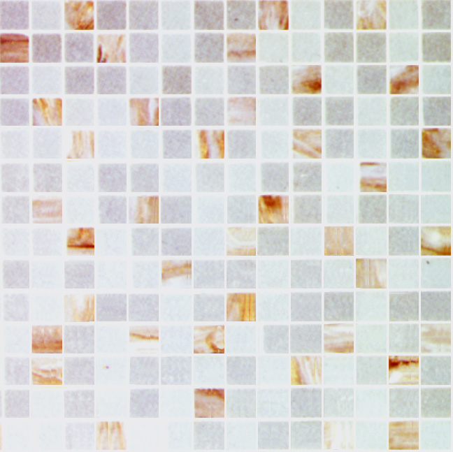 Stone_Pattern3_173.jpg