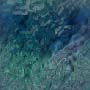 Stone_Random2_005.jpg