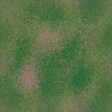 Stone_Random2_027.jpg