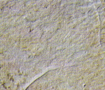 Stone_Random2_034.jpg