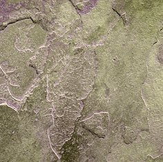 Stone_Random2_042.jpg