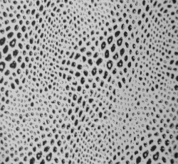 Stone_Random2_047.jpg