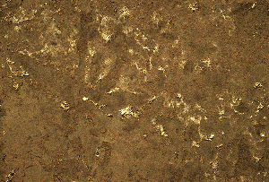 Stone_Random2_056.jpg