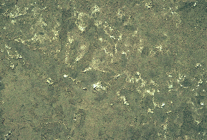 Stone_Random2_058.jpg