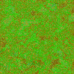 Stone_Random2_061.jpg