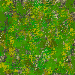 Stone_Random2_062.jpg