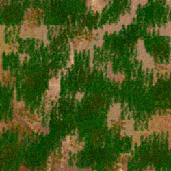 Stone_Random2_063.jpg