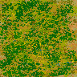 Stone_Random2_068.jpg