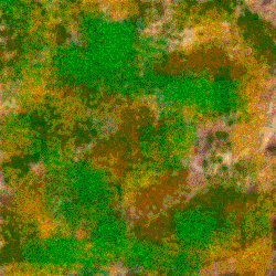 Stone_Random2_069.jpg