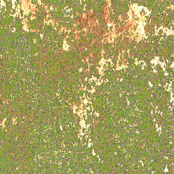 Stone_Random2_074.jpg