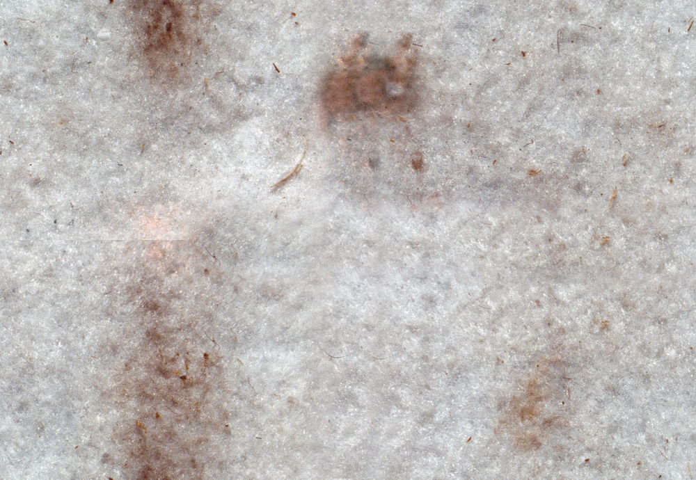 Stone_Random2_205.jpg