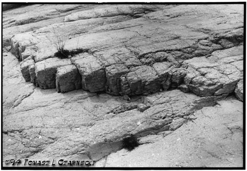 Rock1_001.jpg