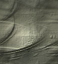 Rock1_003.jpg
