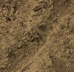 Rock1_013.jpg