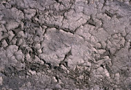 Rock1_016.jpg
