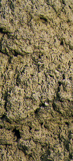 Rock1_025.jpg
