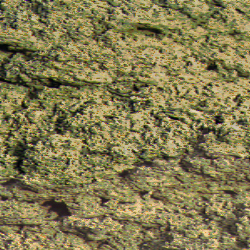 Rock1_041.jpg