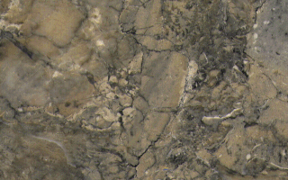 Rock1_049.jpg