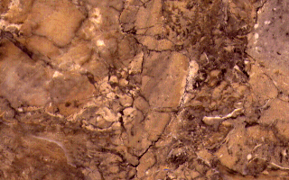 Rock1_051.jpg