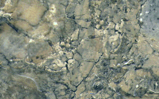 Rock1_052.jpg