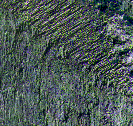 Rock1_056.jpg