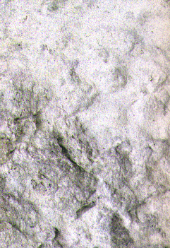 Rock1_069.jpg