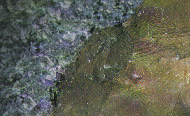 Rock1_072.jpg